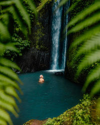 Scenic view of waterfall in forest