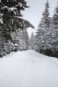 Road amidst trees against sky during winter