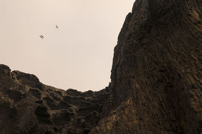 Low angle view of bird flying over rock against clear sky