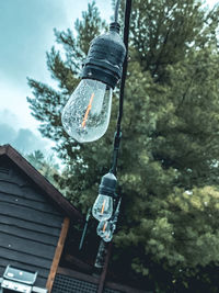 Low angle view of light bulbs hanging on tree against building