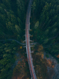 High angle view of bridge amidst forest