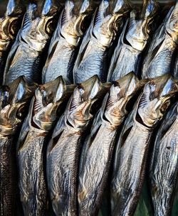 Full frame shot of fish for sale in market