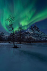 A beautiful show of northern lights above the imposing peaks of otertinden with moonlight.