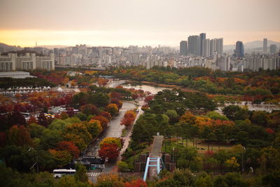 High angle view of trees and buildings in city