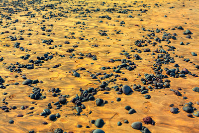 Stones in the sand on the beach . tropical coast after tide