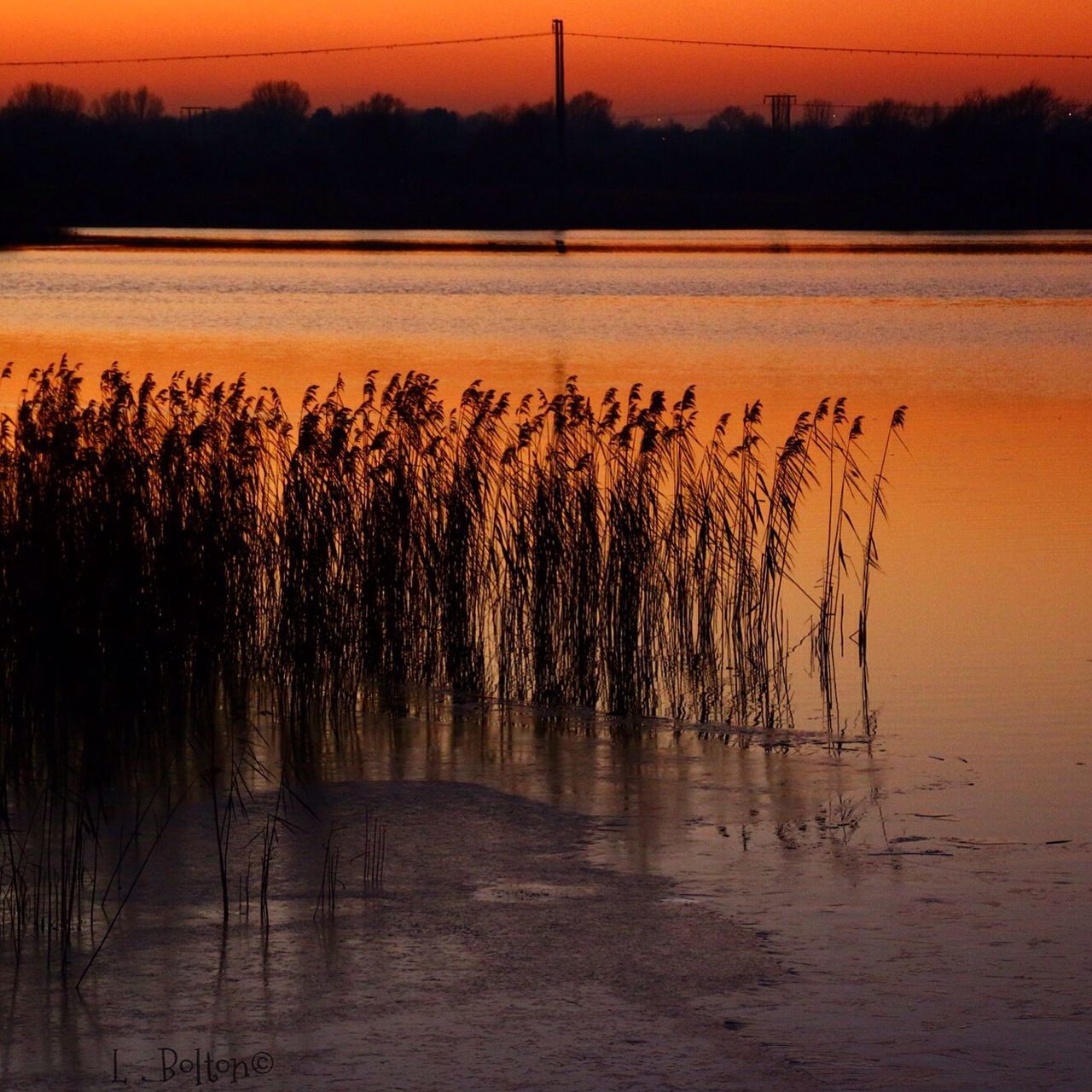 nature, reflection, sunset, scenics, outdoors, agriculture, rural scene, water, tranquility, tranquil scene, beauty in nature, lake, no people, sky, day