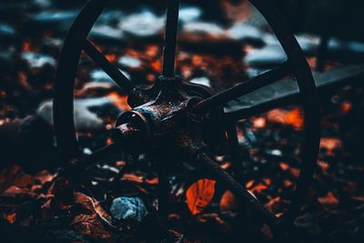 Close-up of rusty bicycle wheel