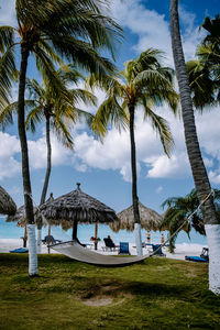 Palm trees on riverbank against sky