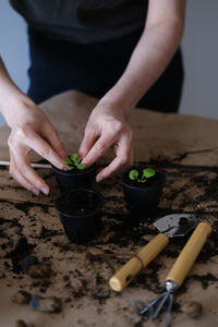 Dive flower sprouts into individual pots.