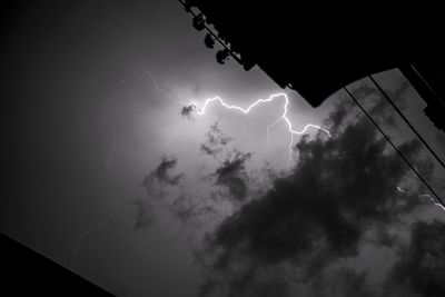 Low angle view of bird flying in sky