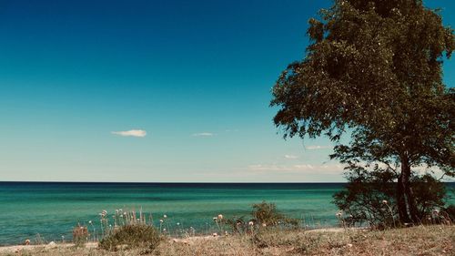 Scenic view of sea against clear sky