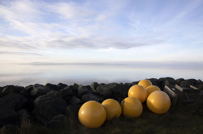 Pumpkins on rocks by sea against sky