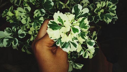 Midsection of person by potted plant