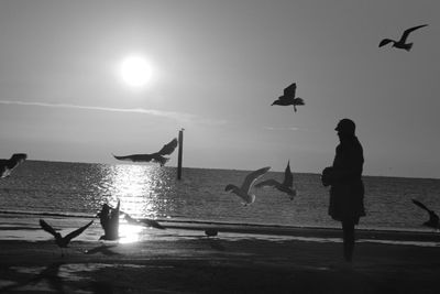 Silhouette woman looking at birds against sea