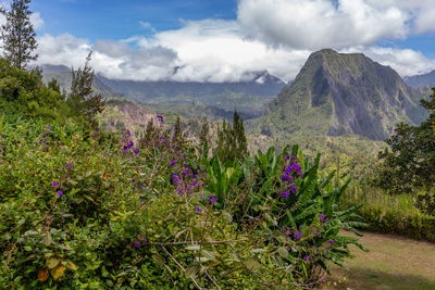 Scenic view of a green landscape with mountain range at island reunion 