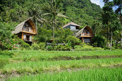 Karangasem, bali, indonesia. photos of villas in bali. hidden vacation location