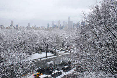 High angle view of snow covered trees and buildings against sky