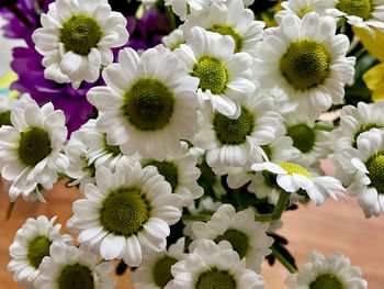 Close-up of flowers