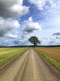 Landscape view of single tree on the countryside with scenic clouds and sky
