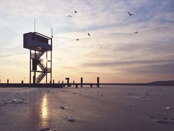 Silhouette birds flying over beach against sky during sunset