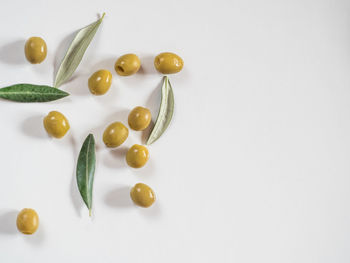 High angle view of food on white background