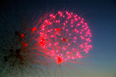 Low angle view of firework display