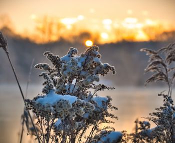 Sunrise on a cold winter morning