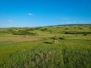 Scenic view of grassy field against blue sky