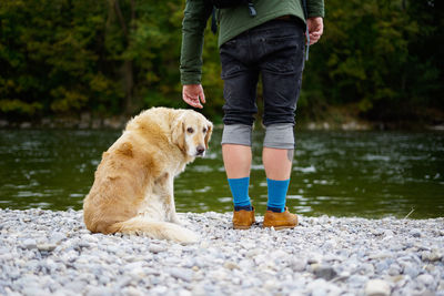 Low section of man with dog at lakeshore