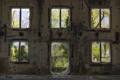 Trees seen through old window of abandoned building