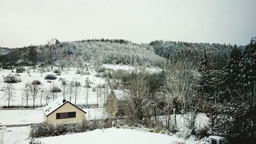 Snow covered trees on landscape