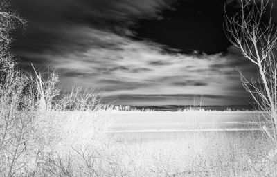 Scenic view of field against sky during winter