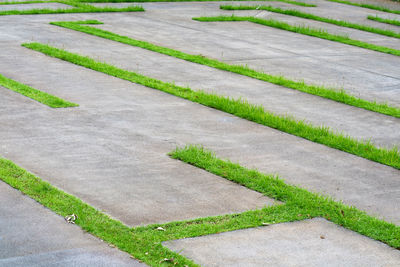 road surface