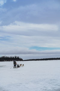 Person walking on snow covered land against sky