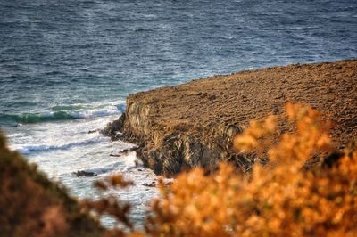 Scenic view of sea