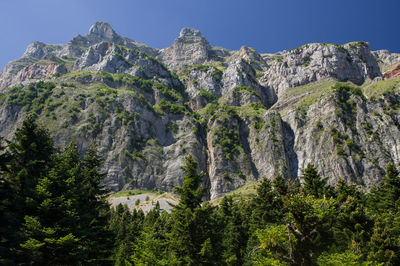 Low angle view of trees and rocks against sky