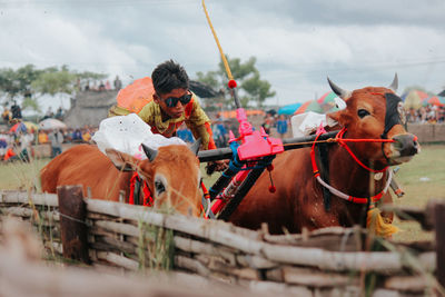 People riding horses