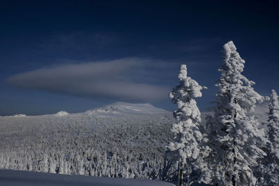 Sunny winter morning in the mountains of sheregesh on the ski track 