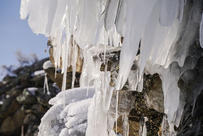 Close-up of icicles on rock