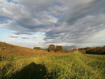 Scenic view of field against sky