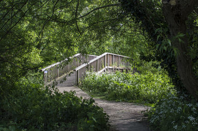 Footbridge amidst trees in forest