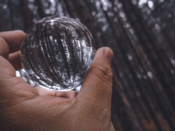 Close-up of hand holding crystal ball with trees reflection