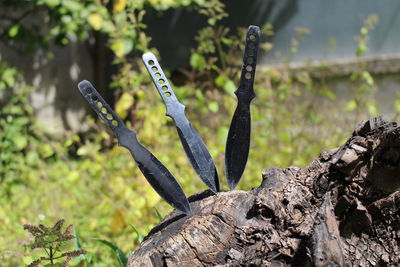 Close-up of knives on wood