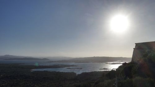 Sun shining through trees