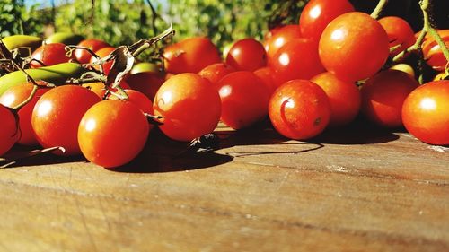 Close-up of tomatoes on table