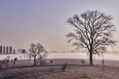 Bare tree by lake against sky during winter