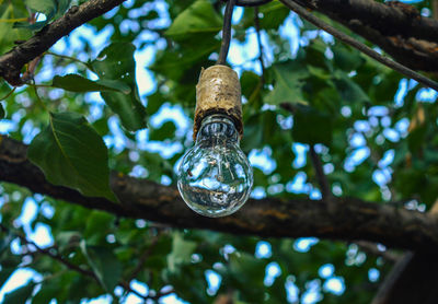 Low angle view of hanging light against tree