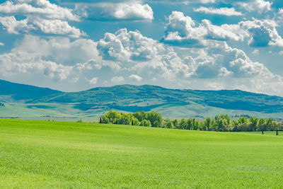 Scenic view of agricultural field against sky