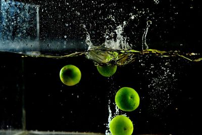 Close-up of water drops on leaf