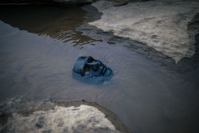 High angle view of man swimming in lake